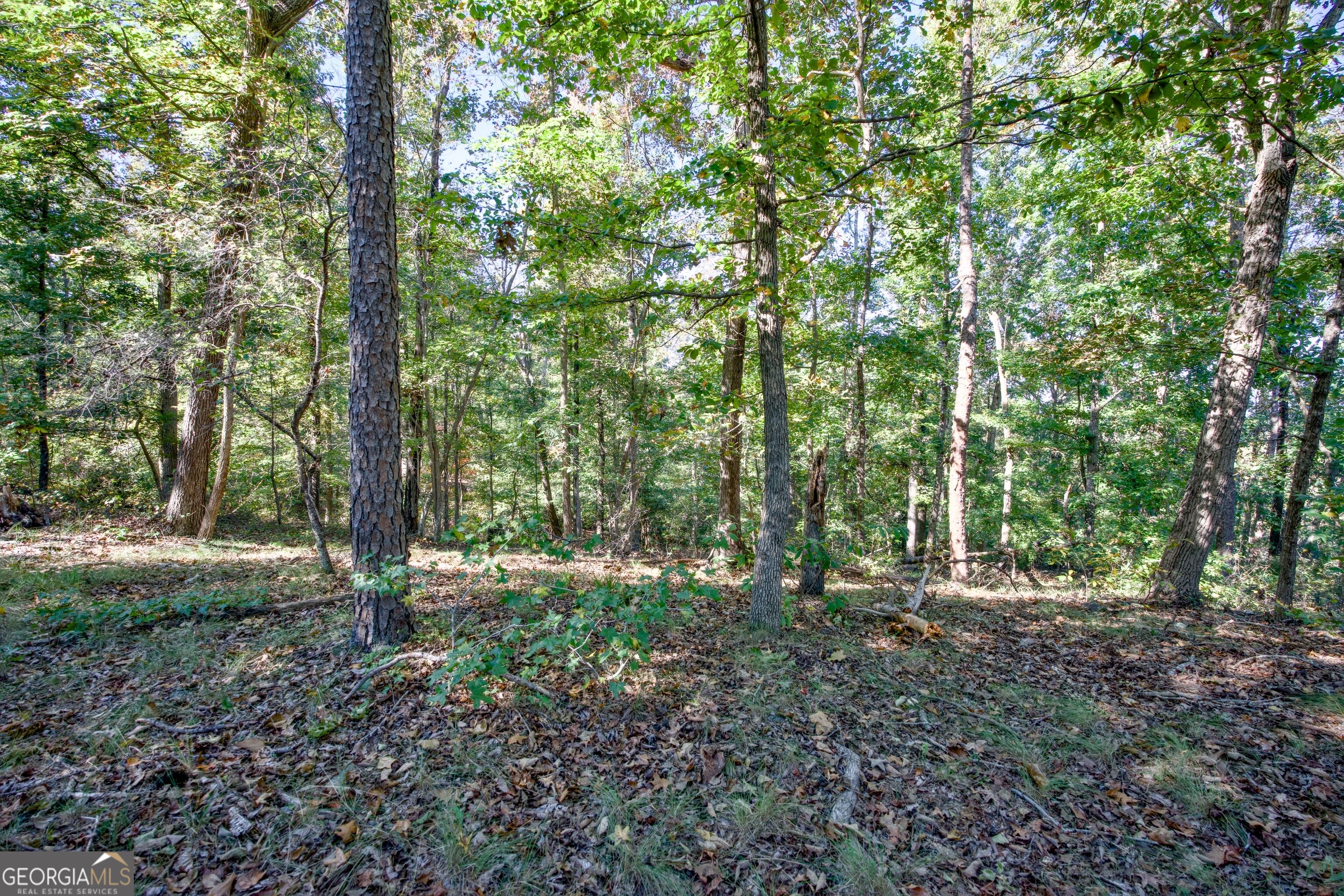 57 Ac Soapstone Road Baldwin GA 30511