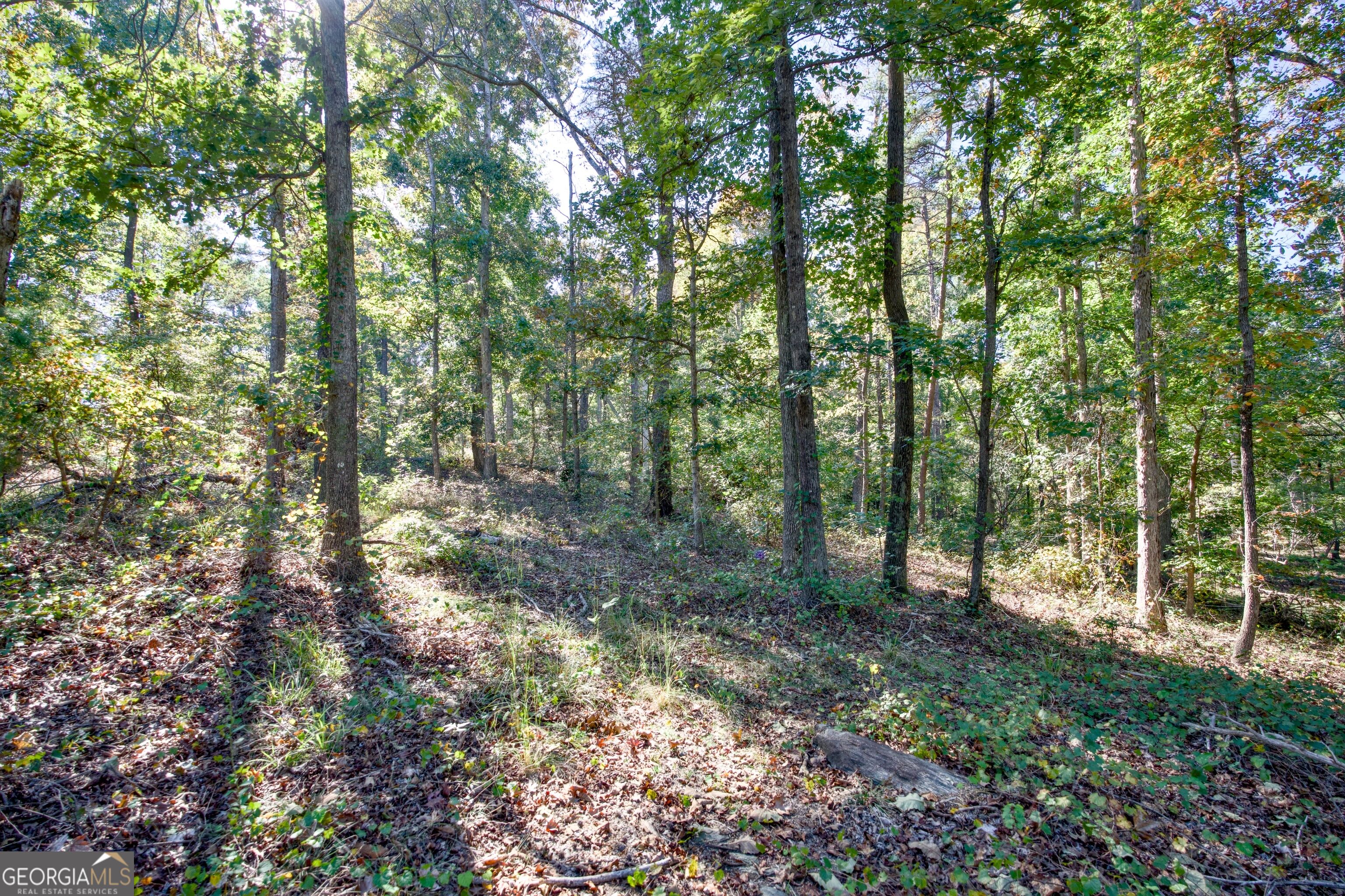 57 Ac Soapstone Road Baldwin GA 30511