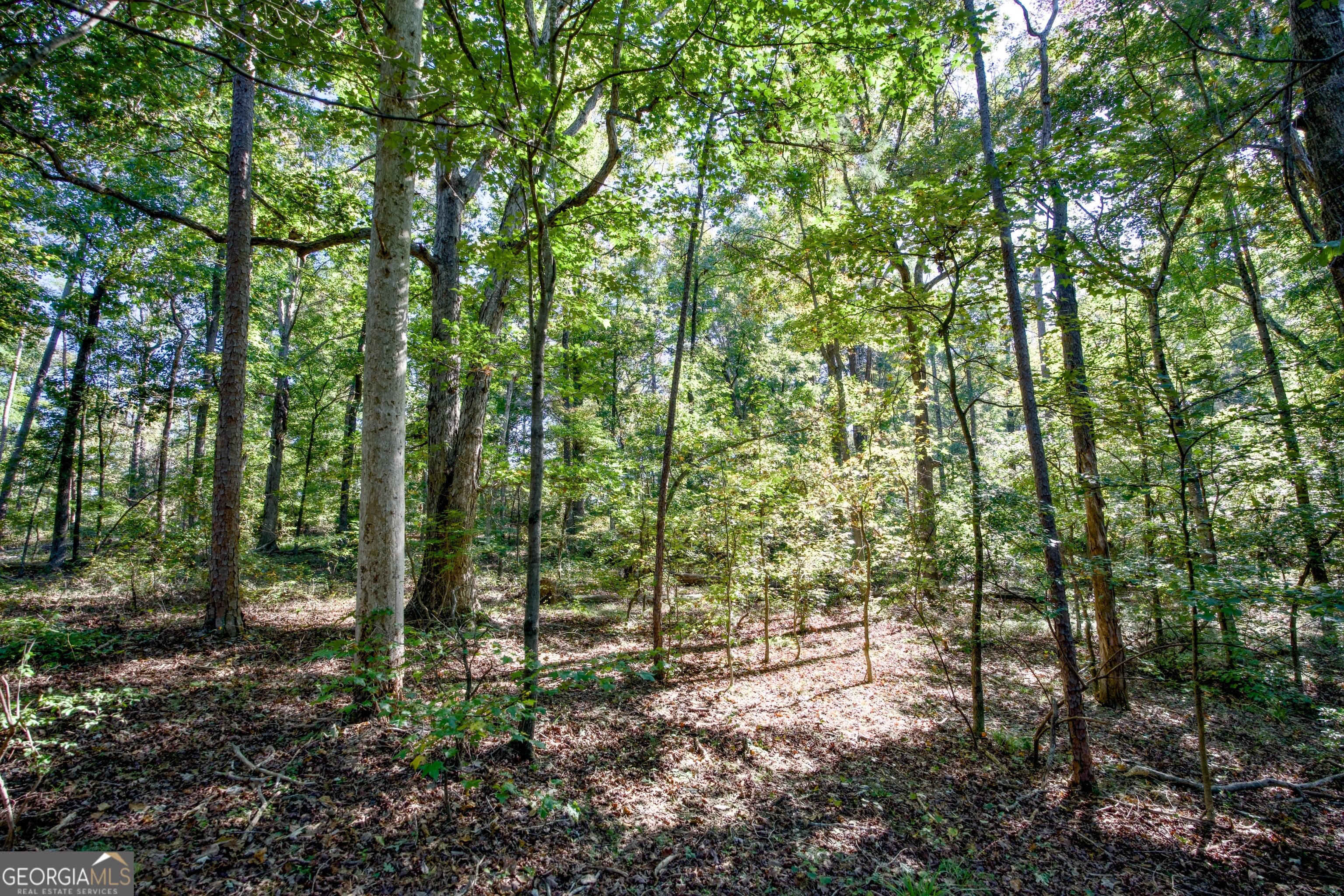 57 Ac Soapstone Road Baldwin GA 30511