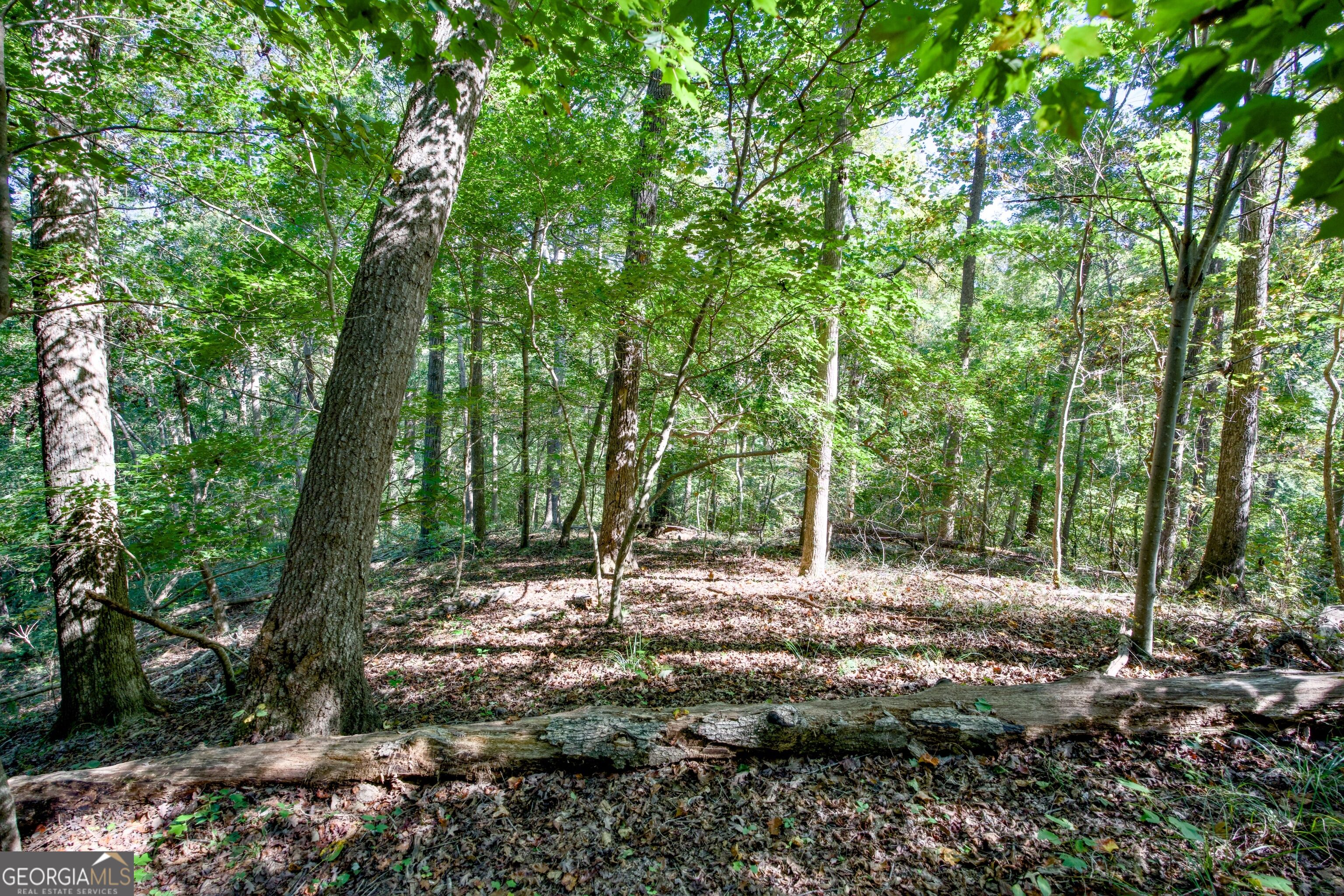 57 Ac Soapstone Road Baldwin GA 30511