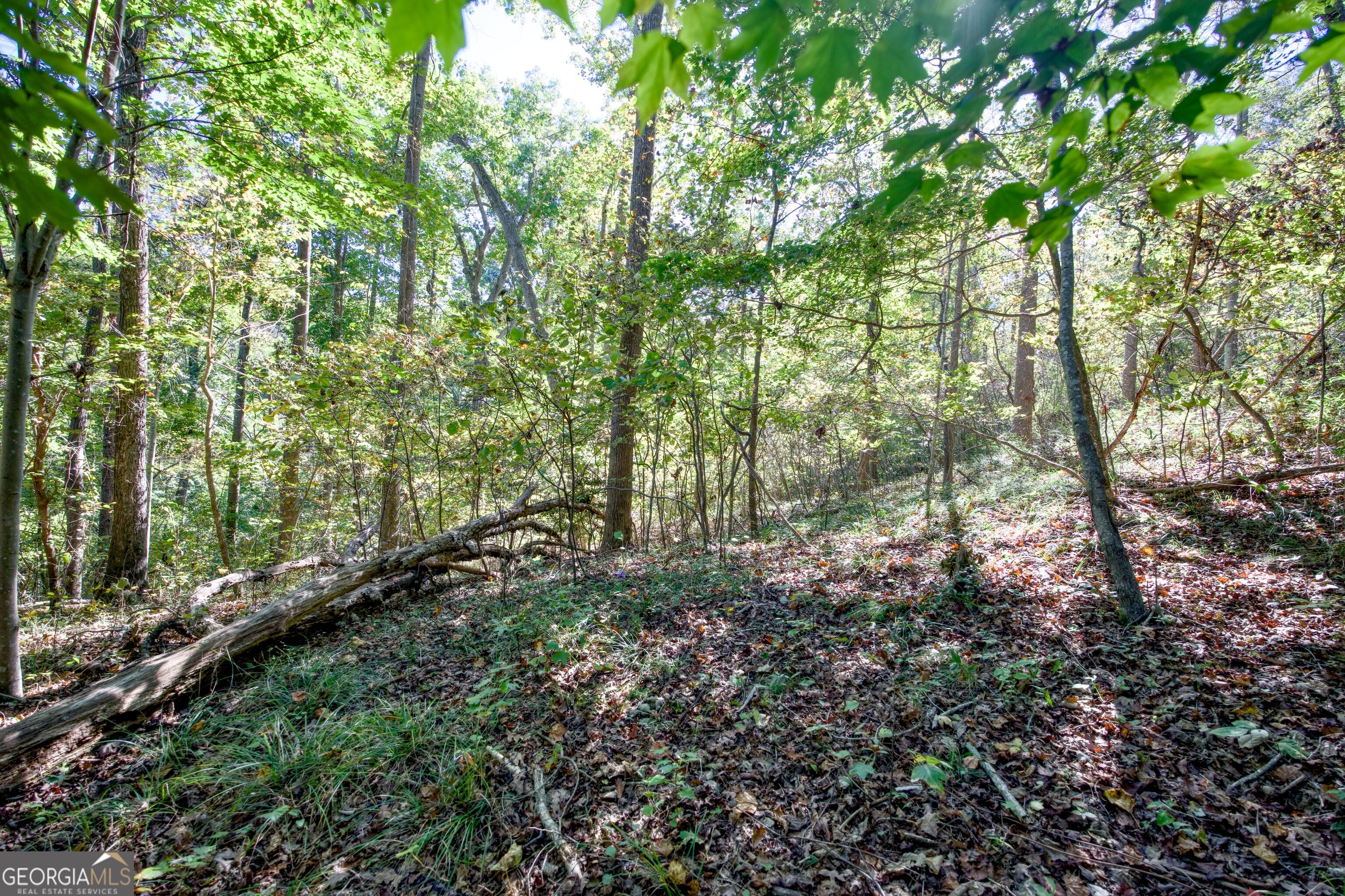 57 Ac Soapstone Road Baldwin GA 30511