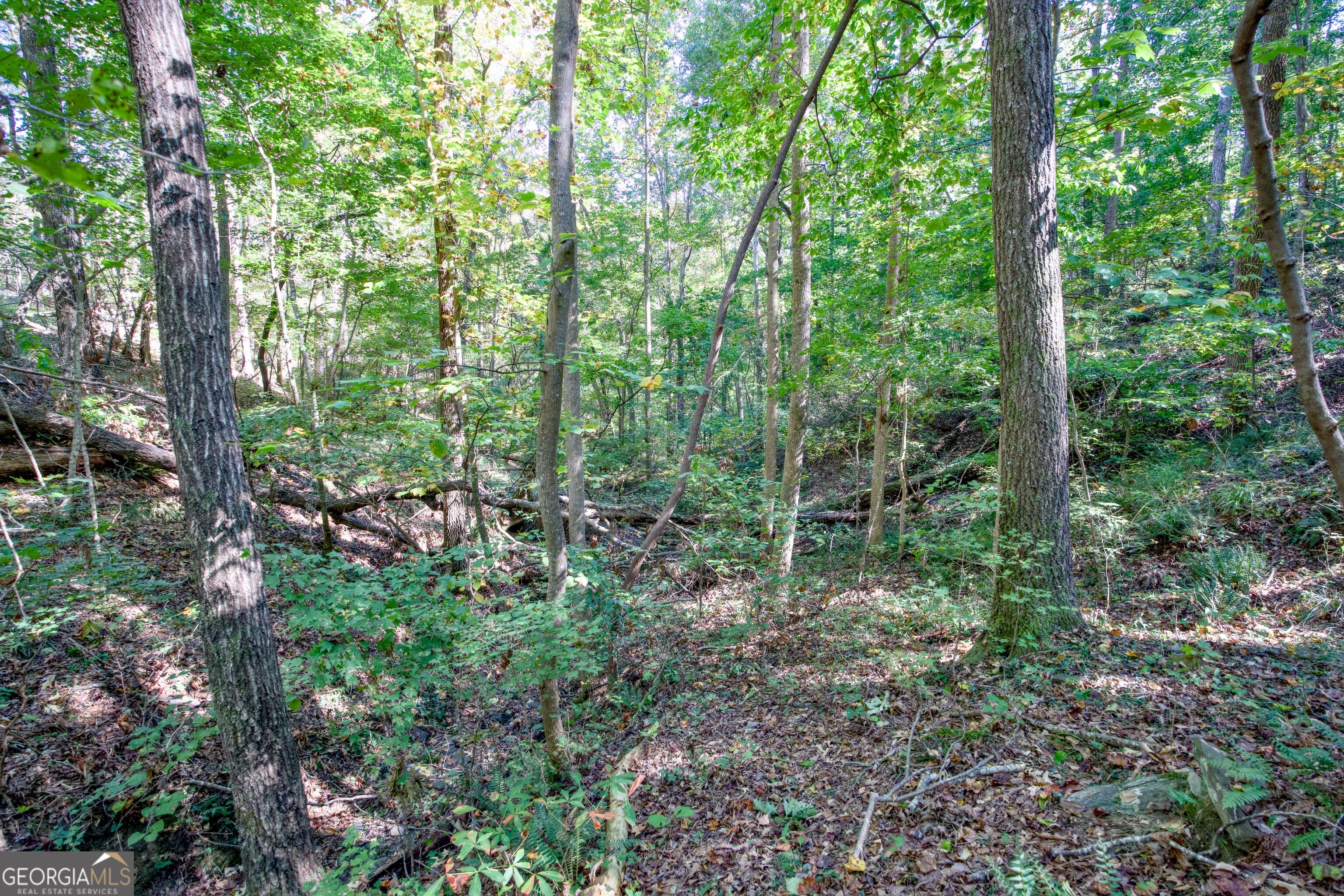 57 Ac Soapstone Road Baldwin GA 30511