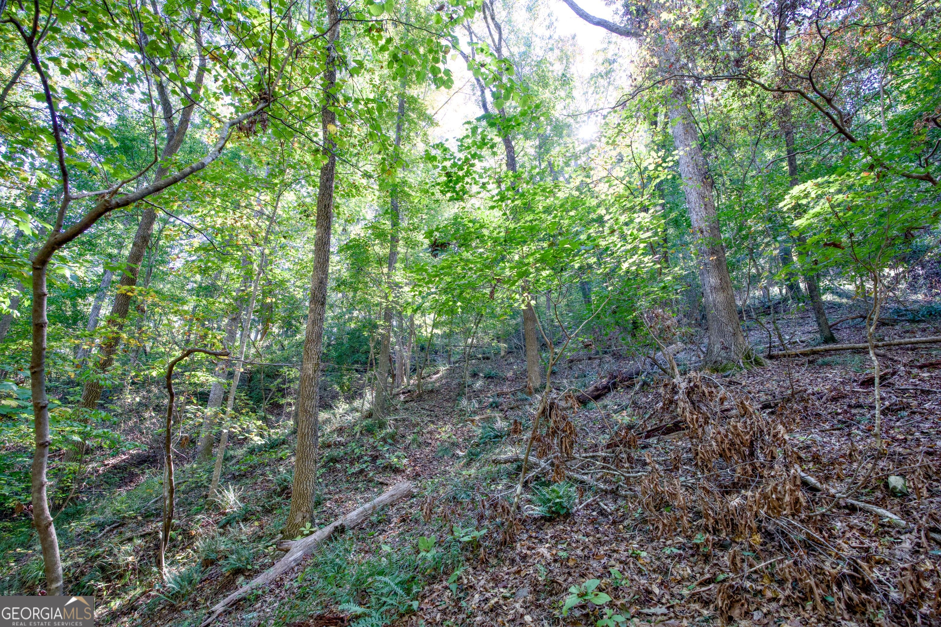 57 Ac Soapstone Road Baldwin GA 30511