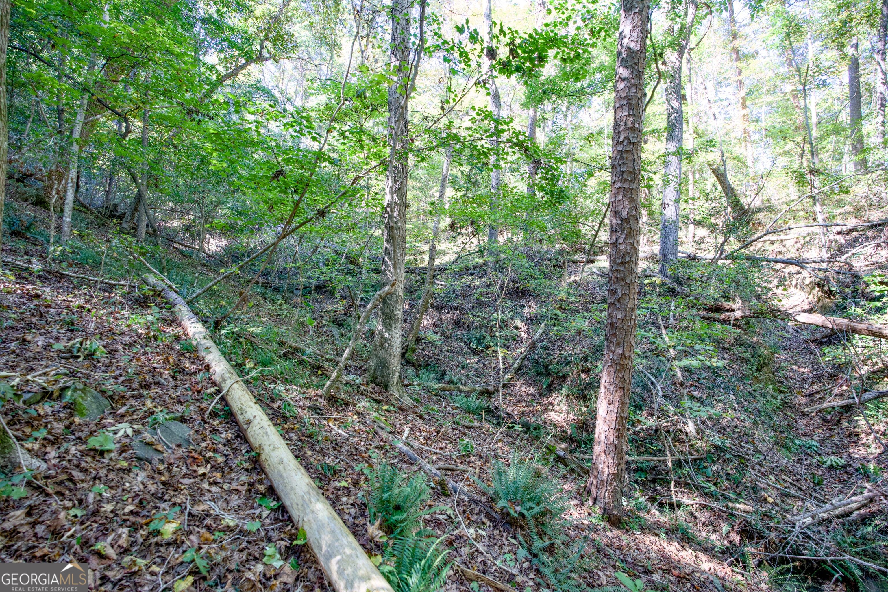 57 Ac Soapstone Road Baldwin GA 30511