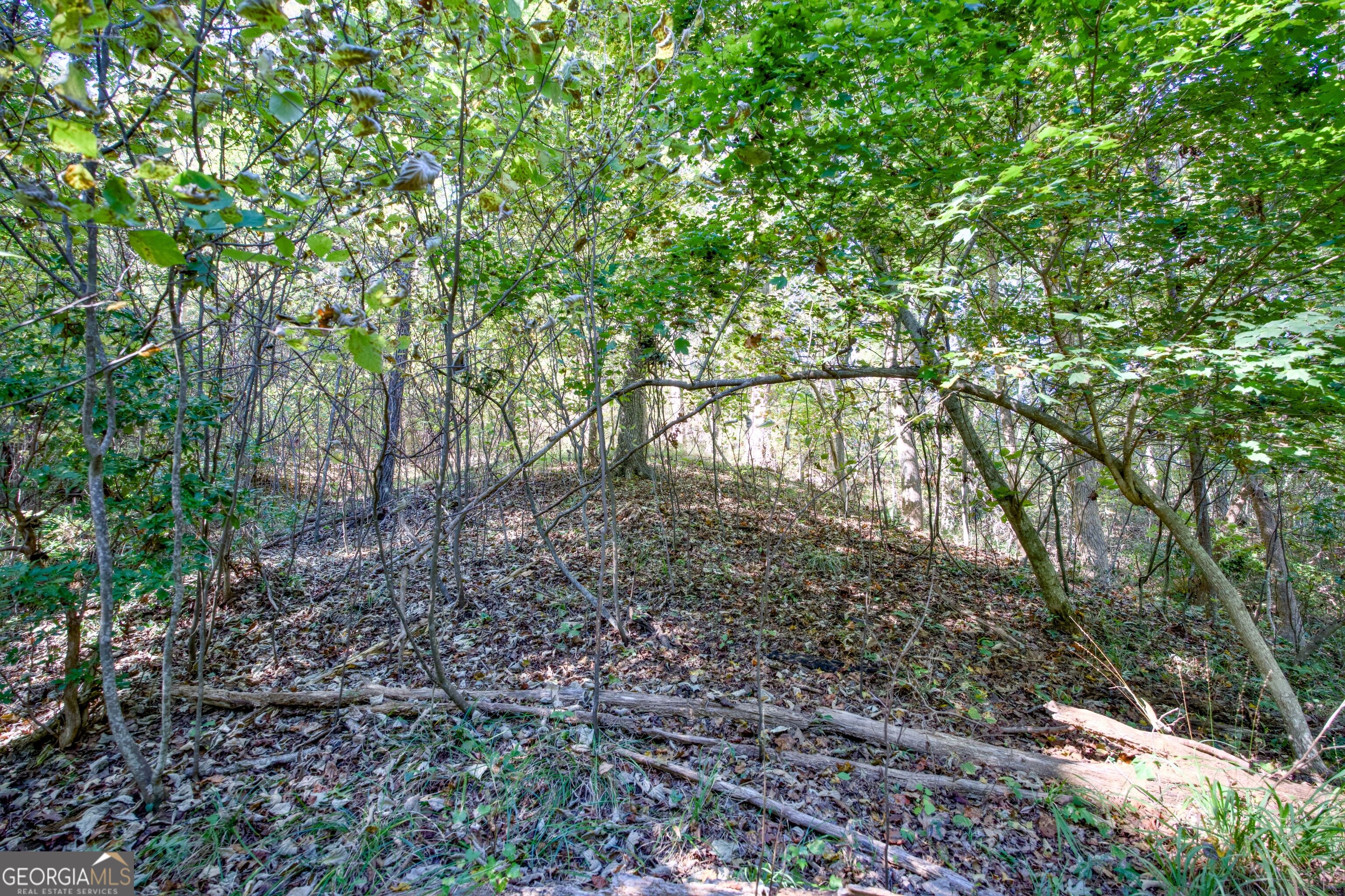 57 Ac Soapstone Road Baldwin GA 30511