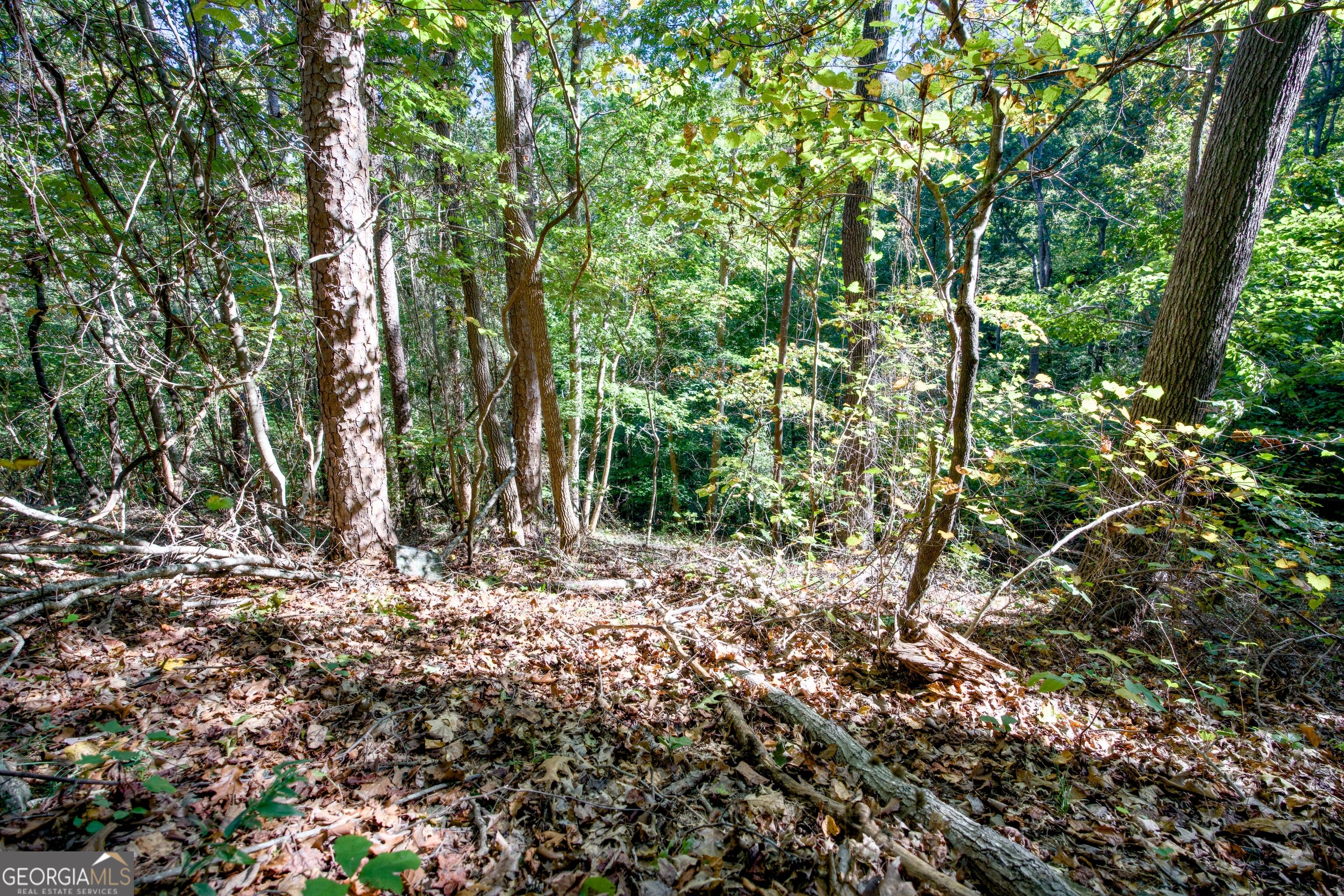 57 Ac Soapstone Road Baldwin GA 30511
