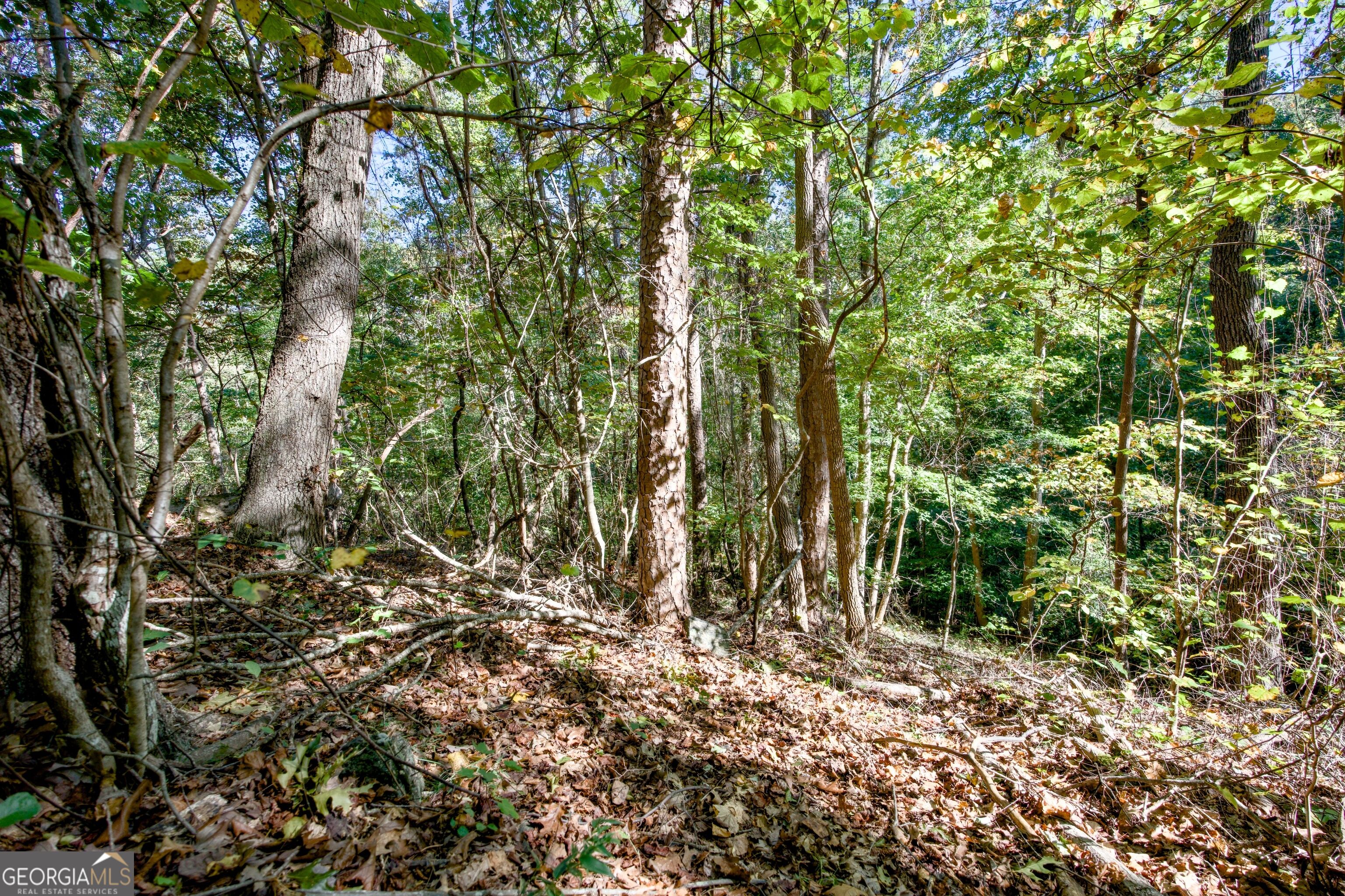 57 Ac Soapstone Road Baldwin GA 30511