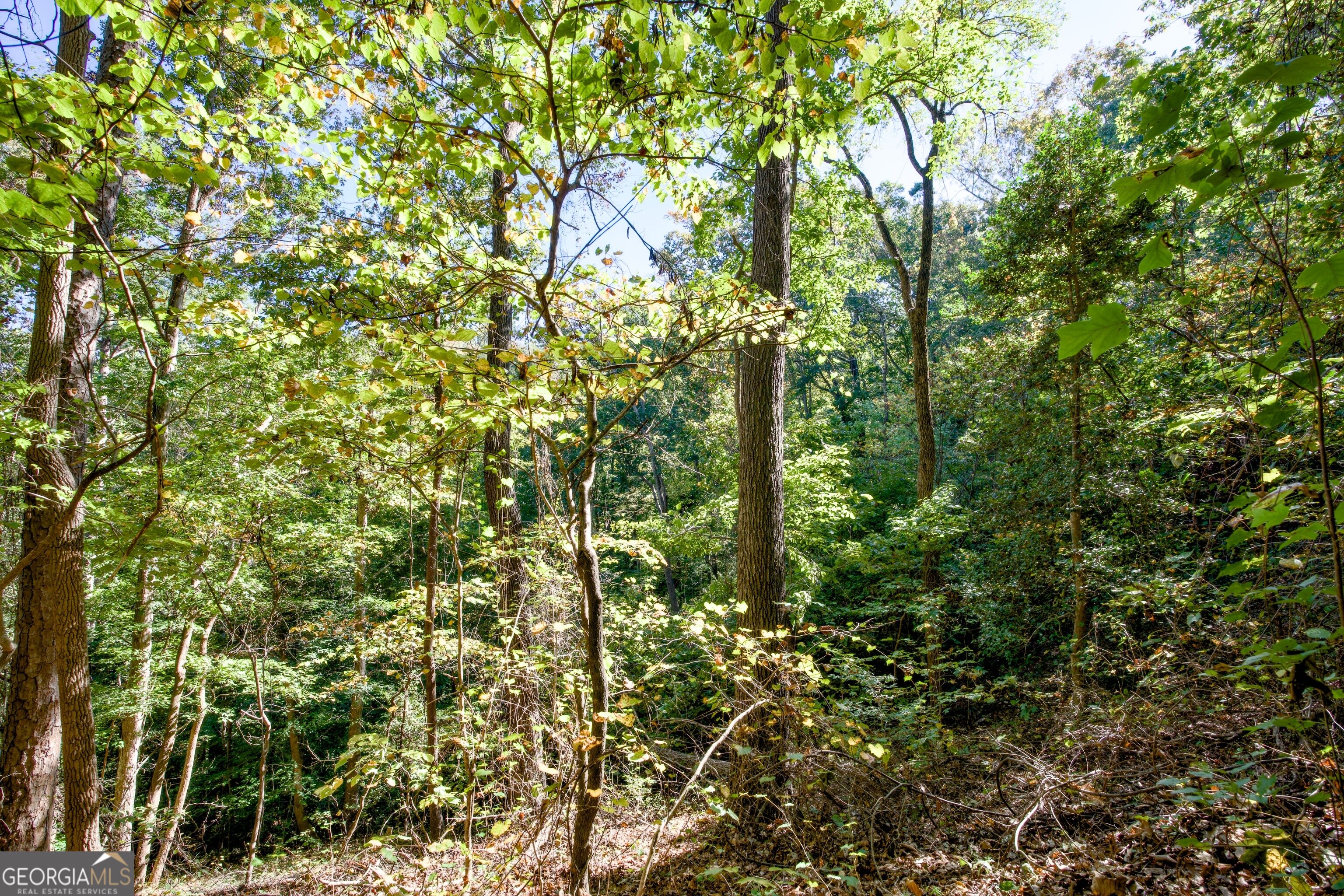 57 Ac Soapstone Road Baldwin GA 30511