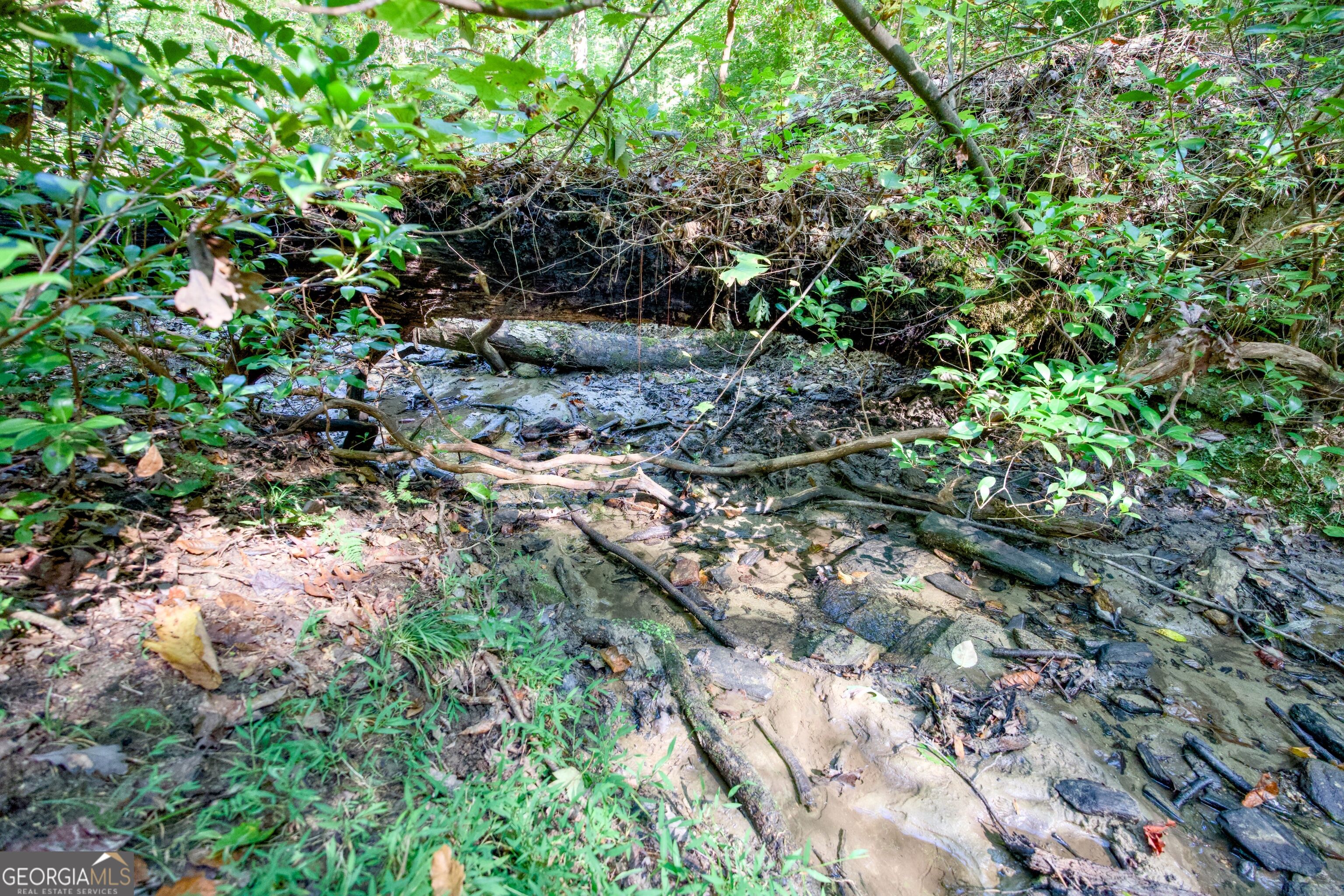 57 Ac Soapstone Road Baldwin GA 30511