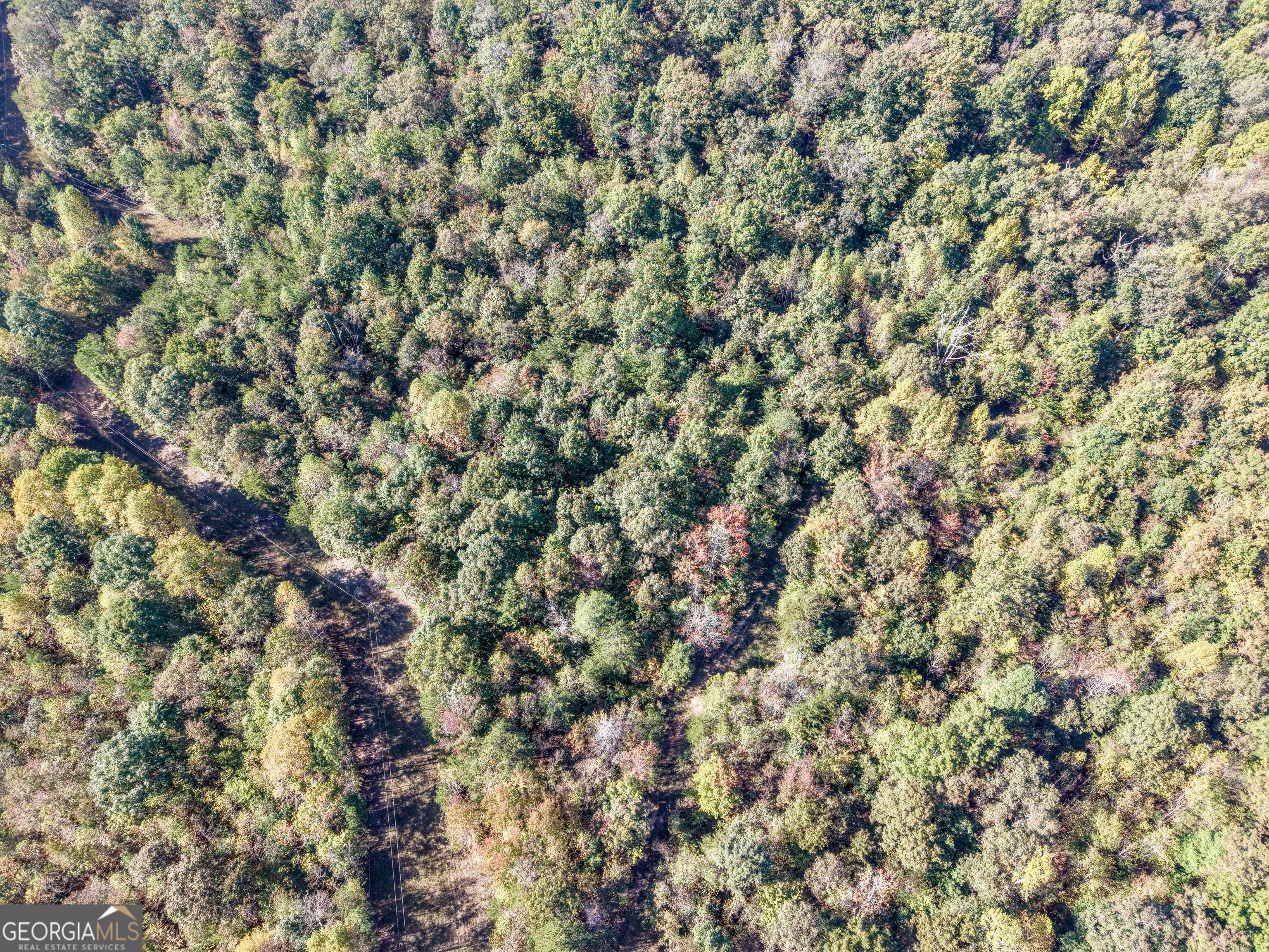 57 Ac Soapstone Road Baldwin GA 30511