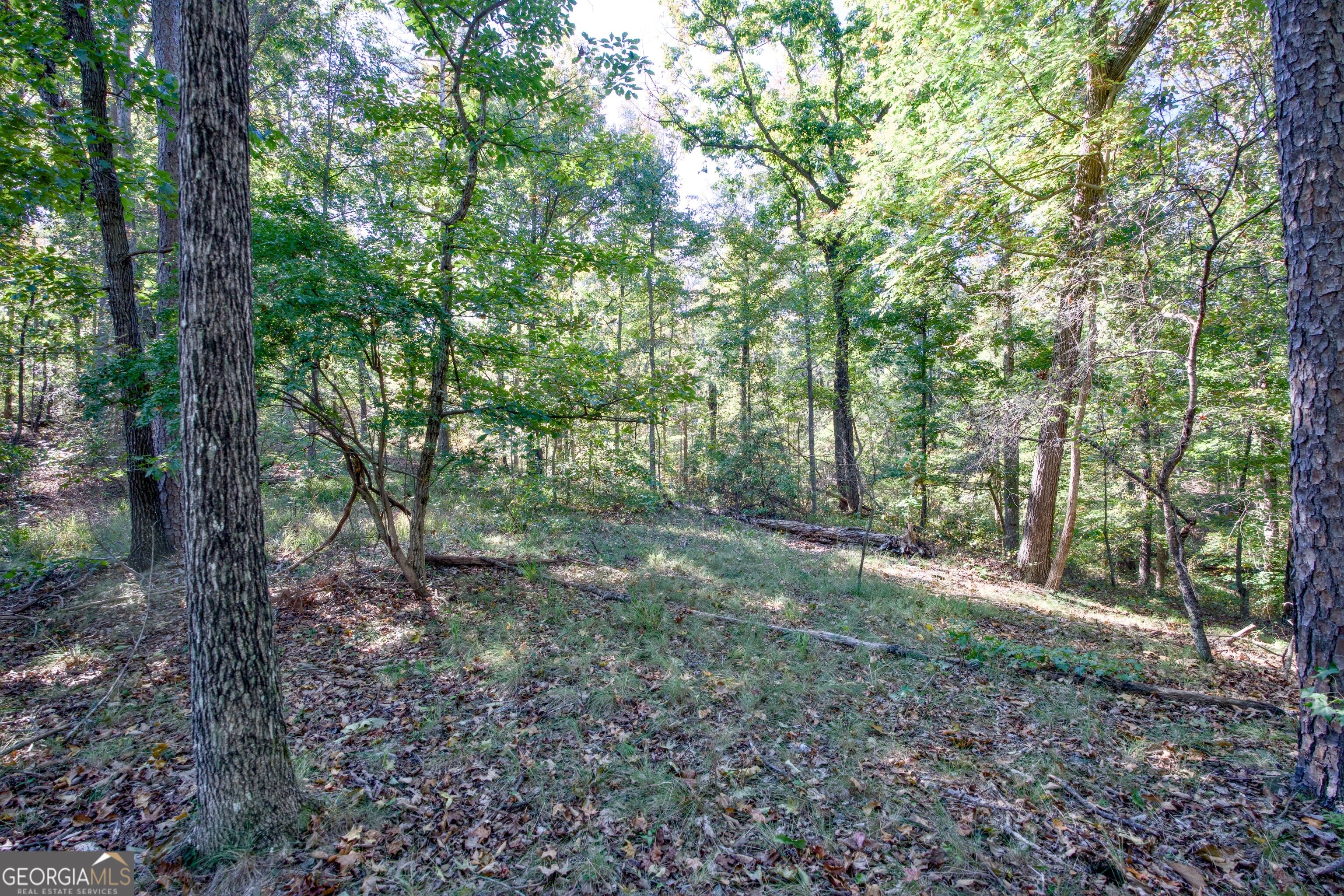 57 Ac Soapstone Road Baldwin GA 30511