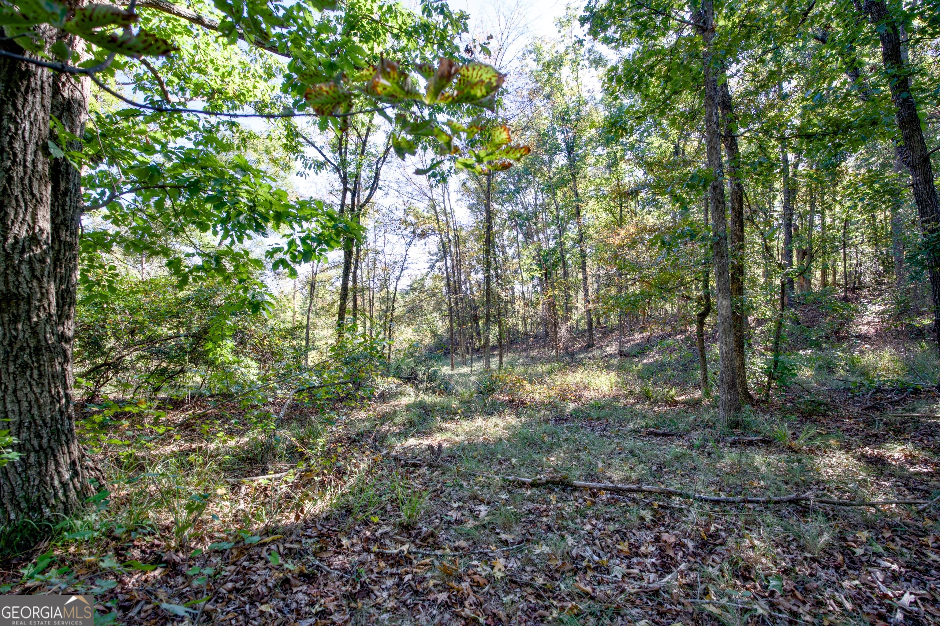 57 Ac Soapstone Road Baldwin GA 30511
