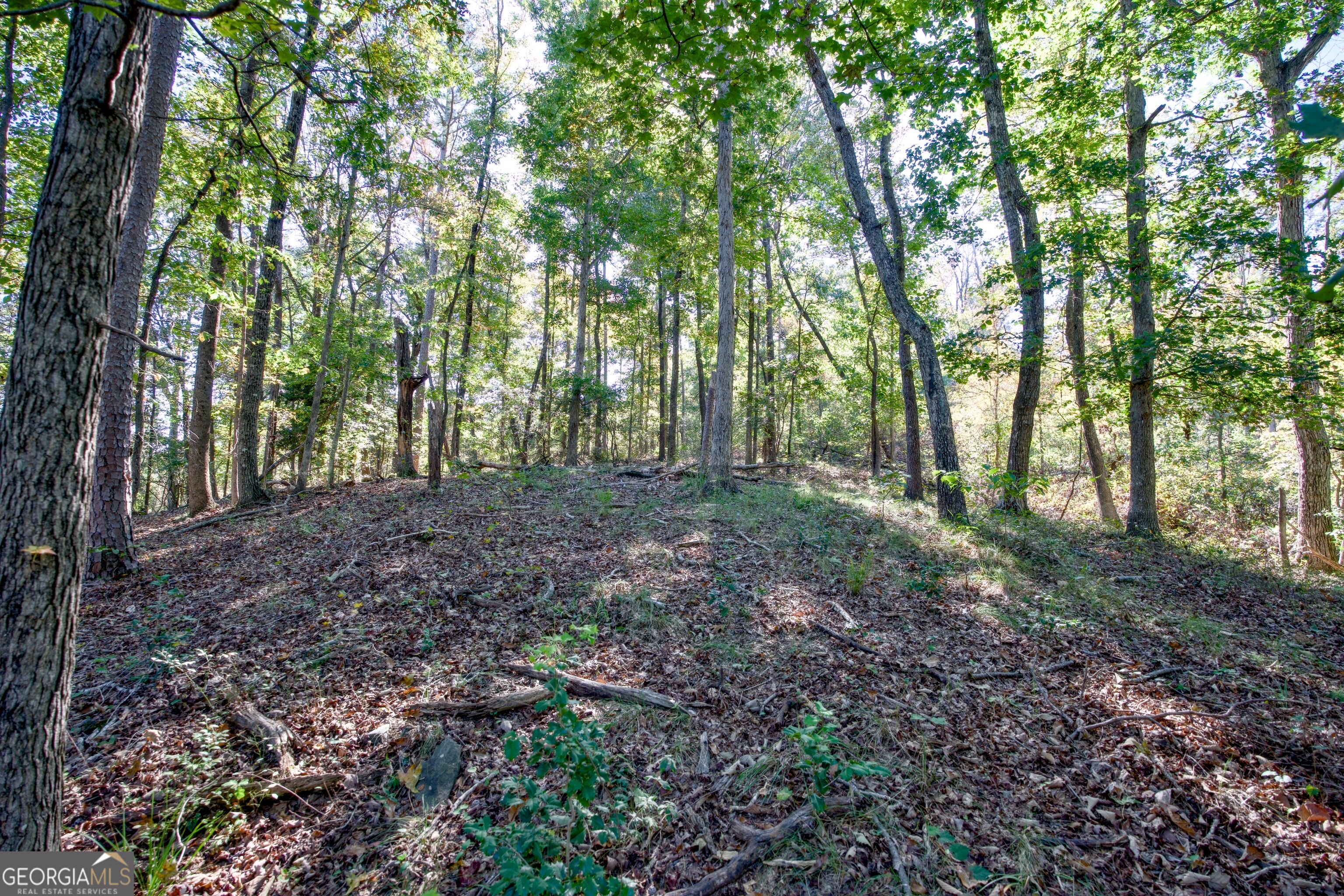 57 Ac Soapstone Road Baldwin GA 30511