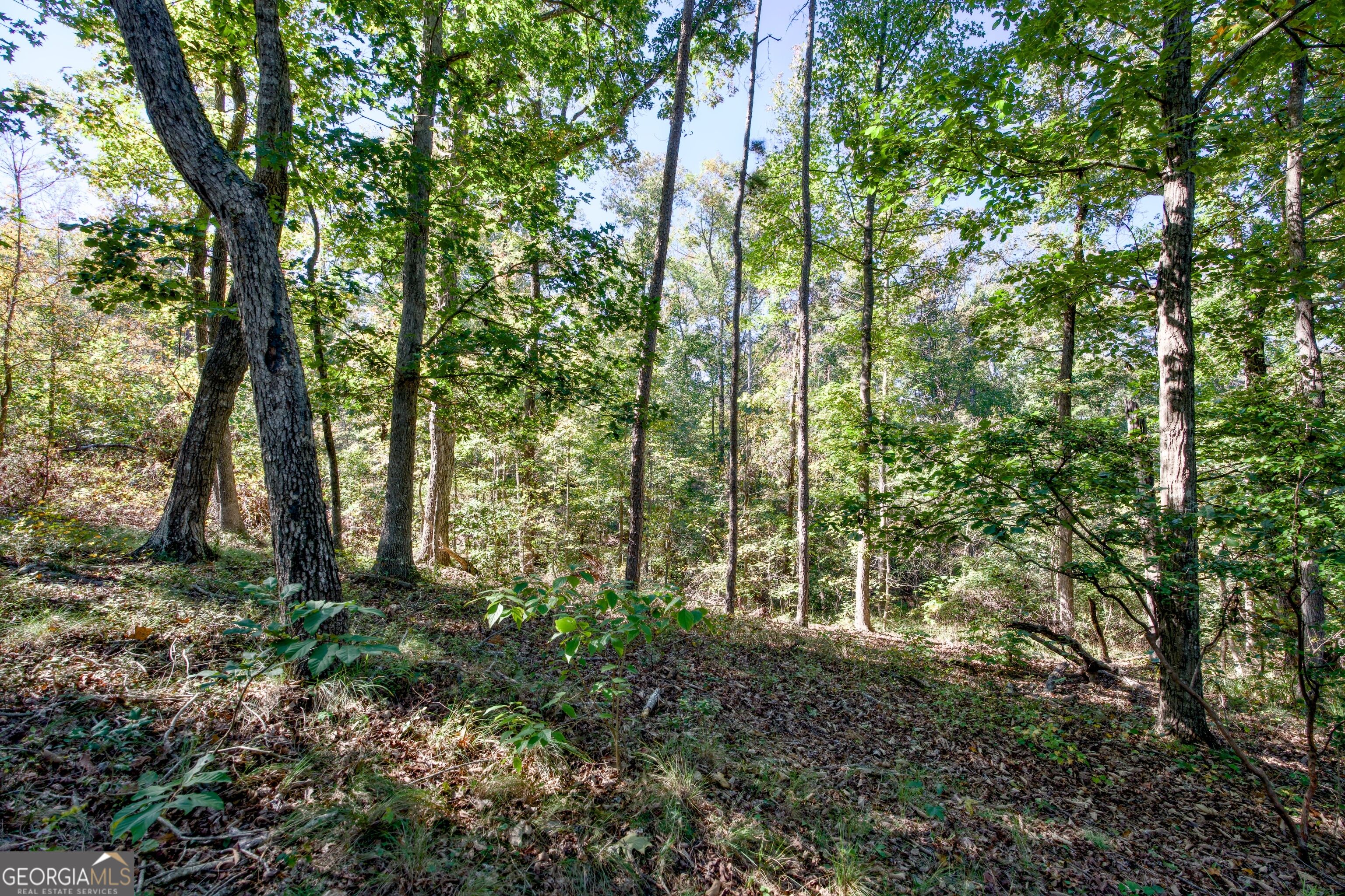 57 Ac Soapstone Road Baldwin GA 30511