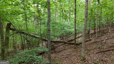 Lot 16 Morris Trail Cleveland GA 30528