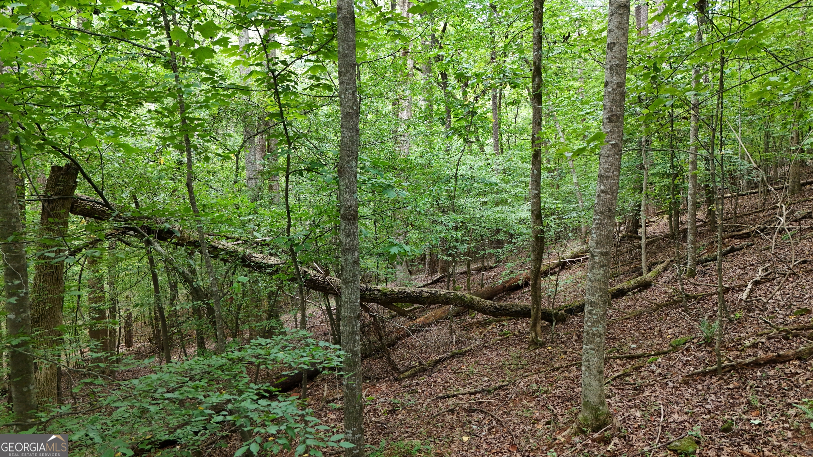 Lot 16 Morris Trail Cleveland GA 30528