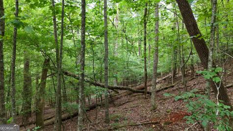 Lot 16 Morris Trail Cleveland GA 30528