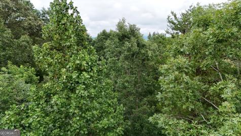 Lot 16 Morris Trail Cleveland GA 30528