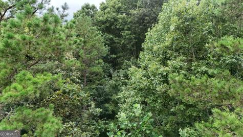 Lot 16 Morris Trail Cleveland GA 30528
