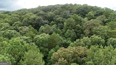 Lot 16 Morris Trail Cleveland GA 30528