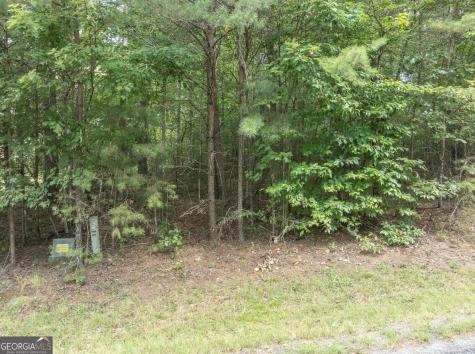 Lot 26 Young Harris Young Harris GA 30582