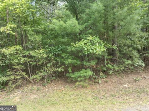 Lot 26 Young Harris Young Harris GA 30582