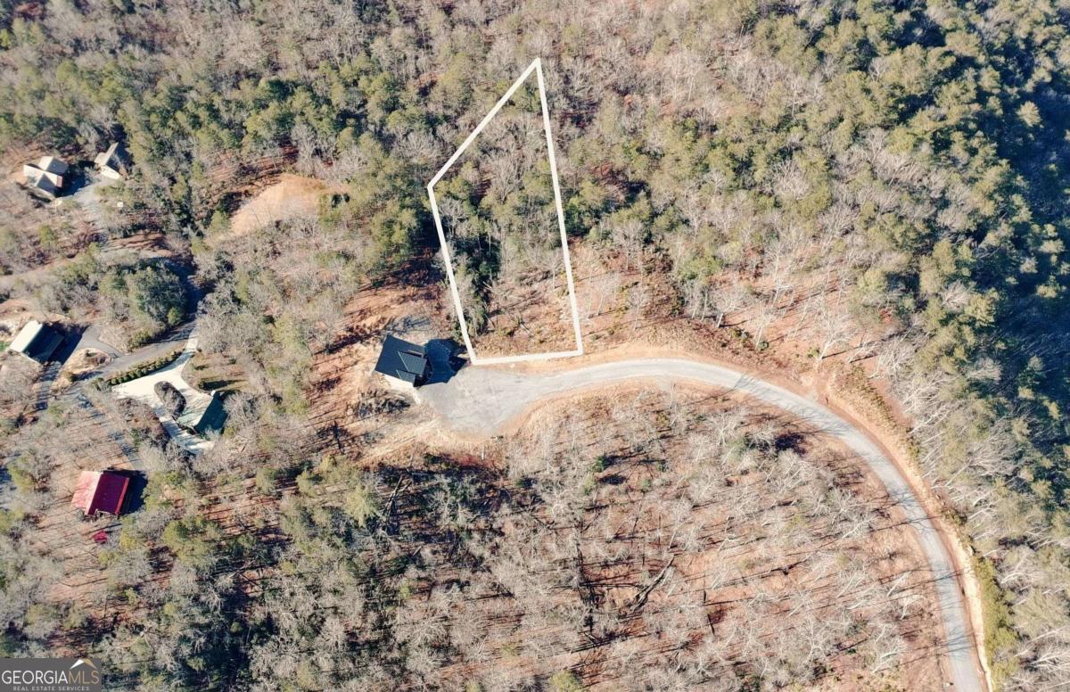 Lot 53 Mountain Laurel Ridge Mineral Bluff GA 30559