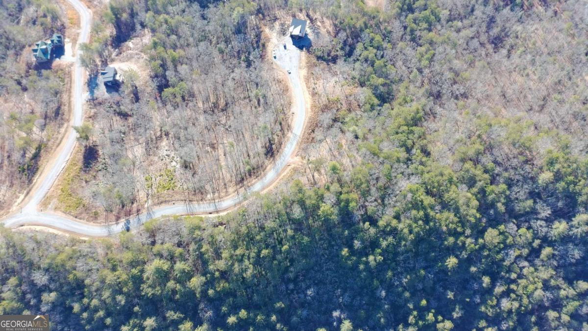 Lot 53 Mountain Laurel Ridge Mineral Bluff GA 30559