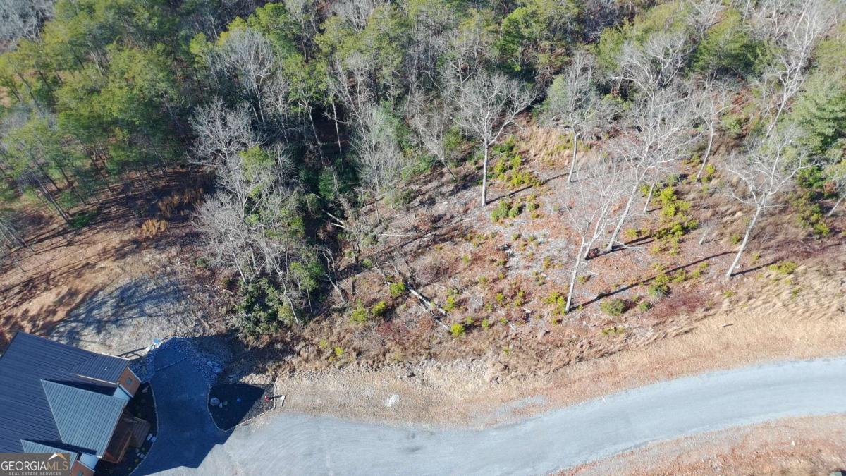 Lot 53 Mountain Laurel Ridge Mineral Bluff GA 30559