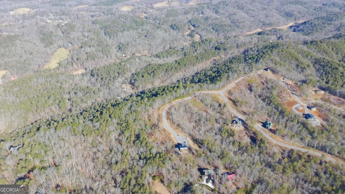 Lot 53 Mountain Laurel Ridge Mineral Bluff GA 30559