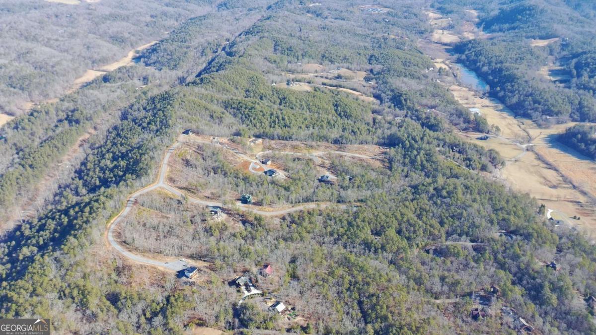 Lot 53 Mountain Laurel Ridge Mineral Bluff GA 30559