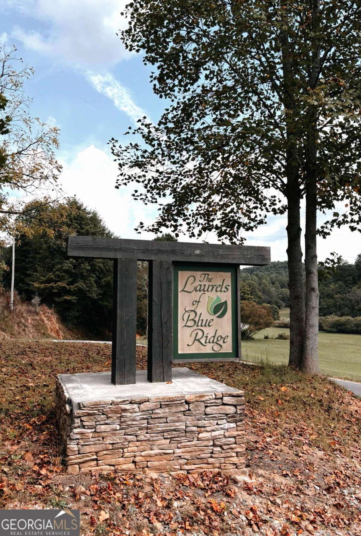 Lot 53 Mountain Laurel Ridge Mineral Bluff GA 30559