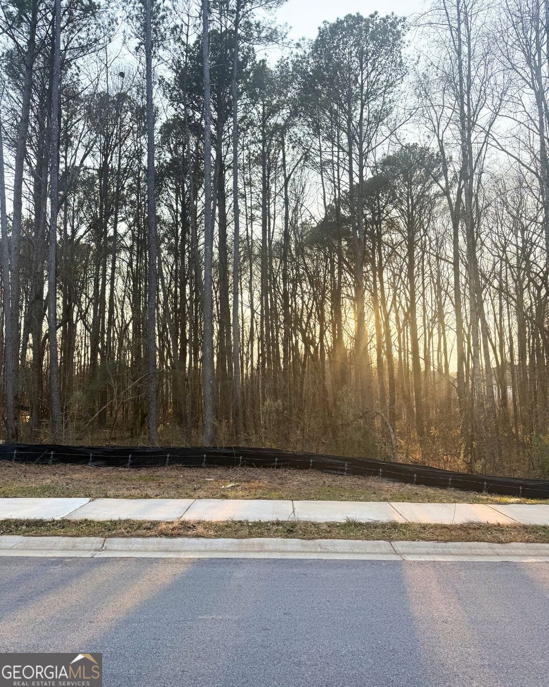 110 Spyglass Circle Mcdonough GA 30253