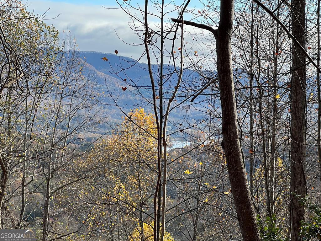 Tract 1 Hidden Summit Hiawassee GA 30546