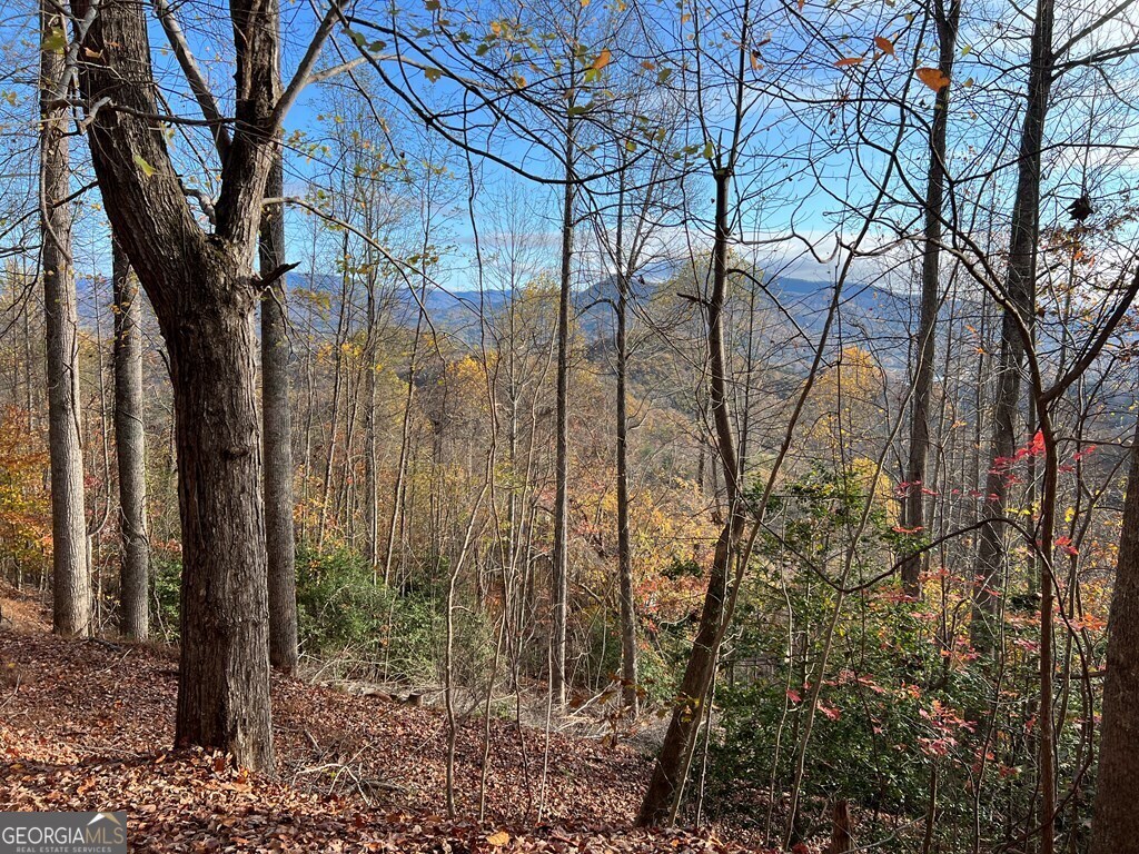 Tract 1 Hidden Summit Hiawassee GA 30546