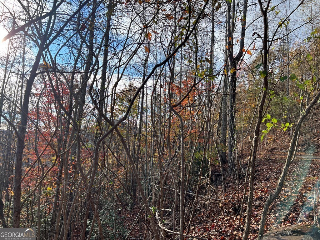 Tract 1 Hidden Summit Hiawassee GA 30546