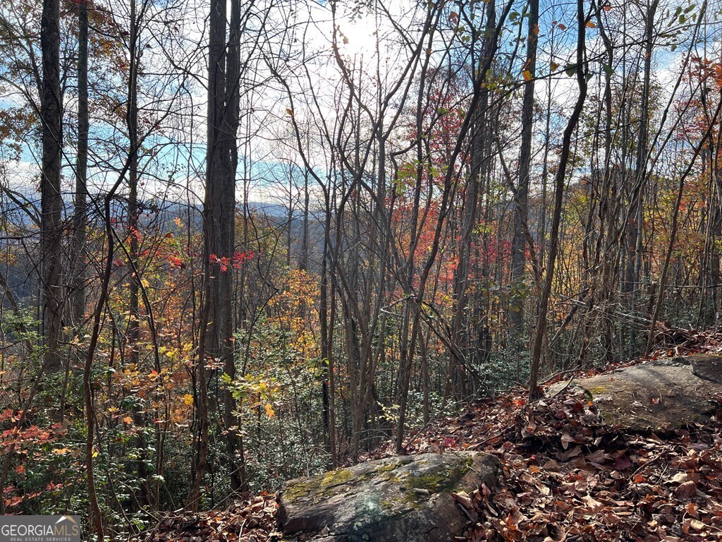 Tract 1 Hidden Summit Hiawassee GA 30546