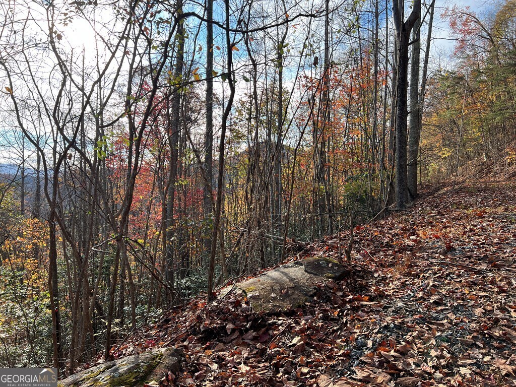 Tract 1 Hidden Summit Hiawassee GA 30546