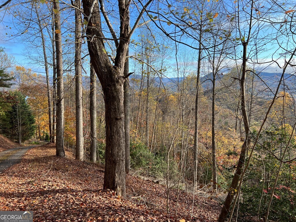 Tract 1 Hidden Summit Hiawassee GA 30546