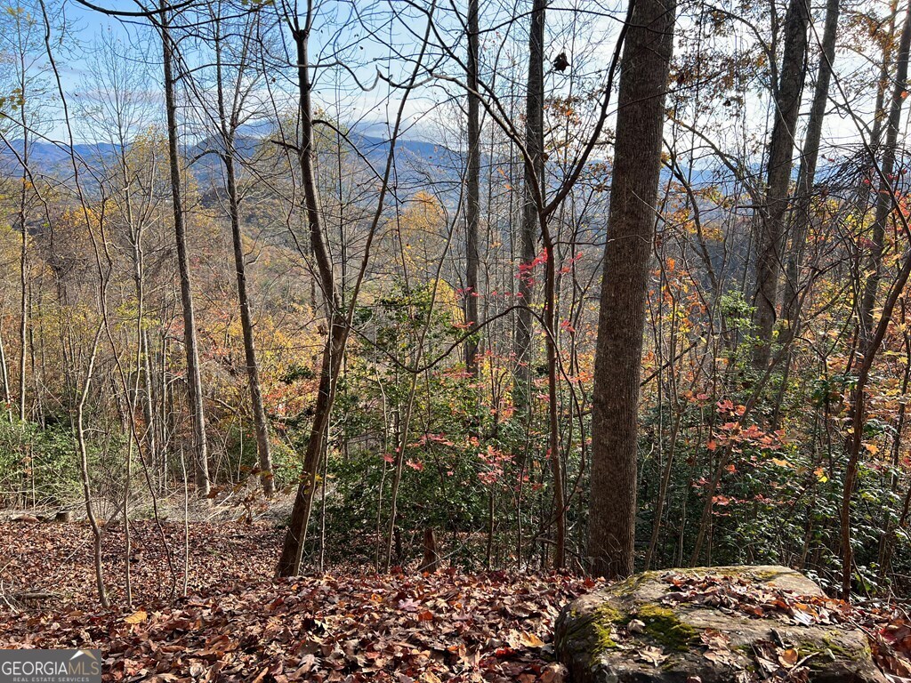 Tract 1 Hidden Summit Hiawassee GA 30546