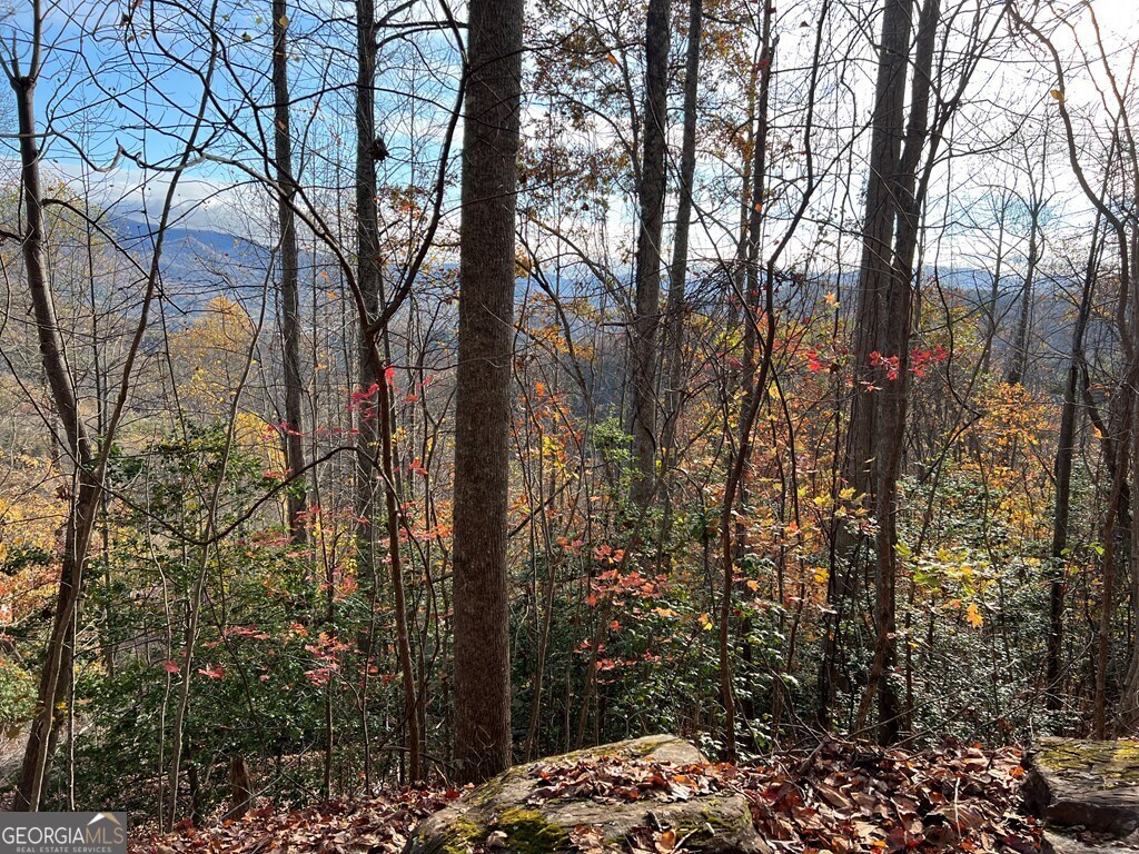 Tract 1 Hidden Summit Hiawassee GA 30546