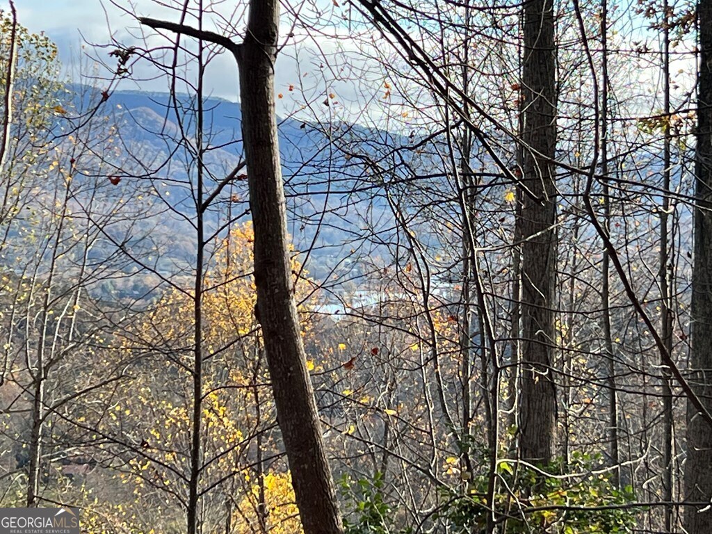 Tract 1 Hidden Summit Hiawassee GA 30546