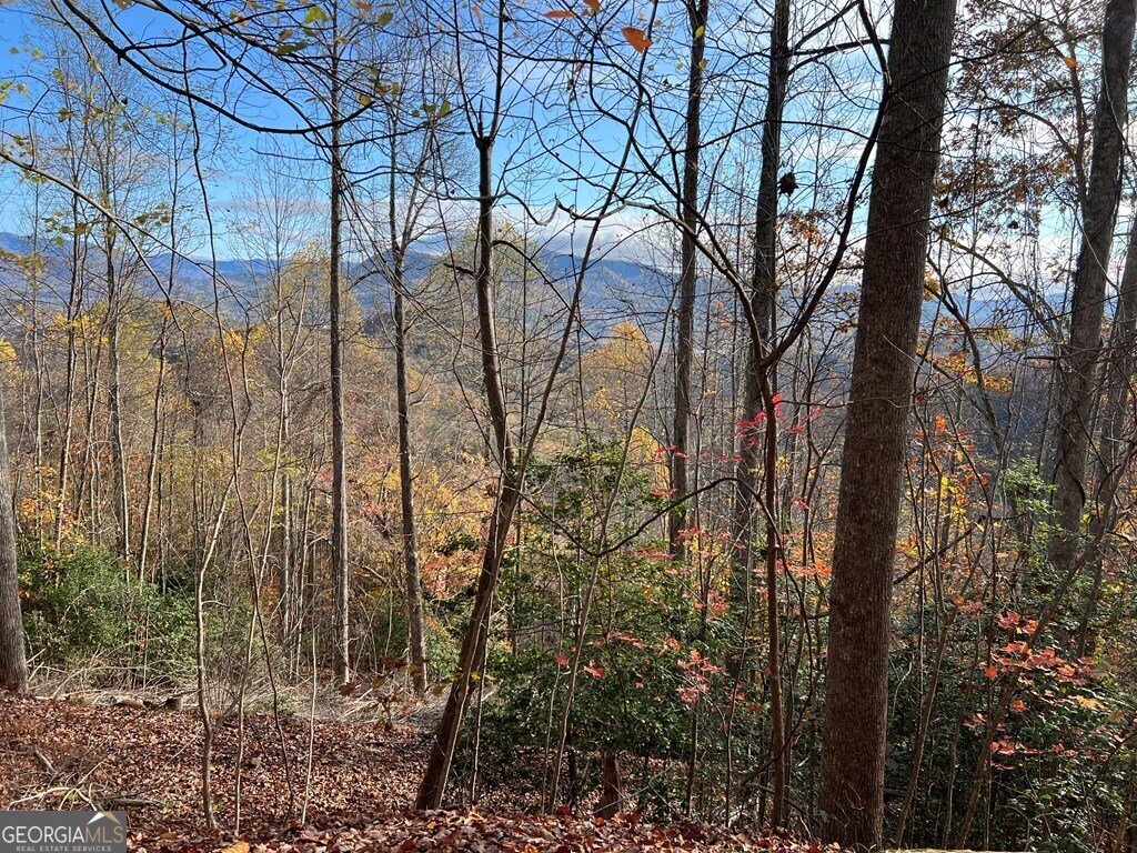 Tract 1 Hidden Summit Hiawassee GA 30546