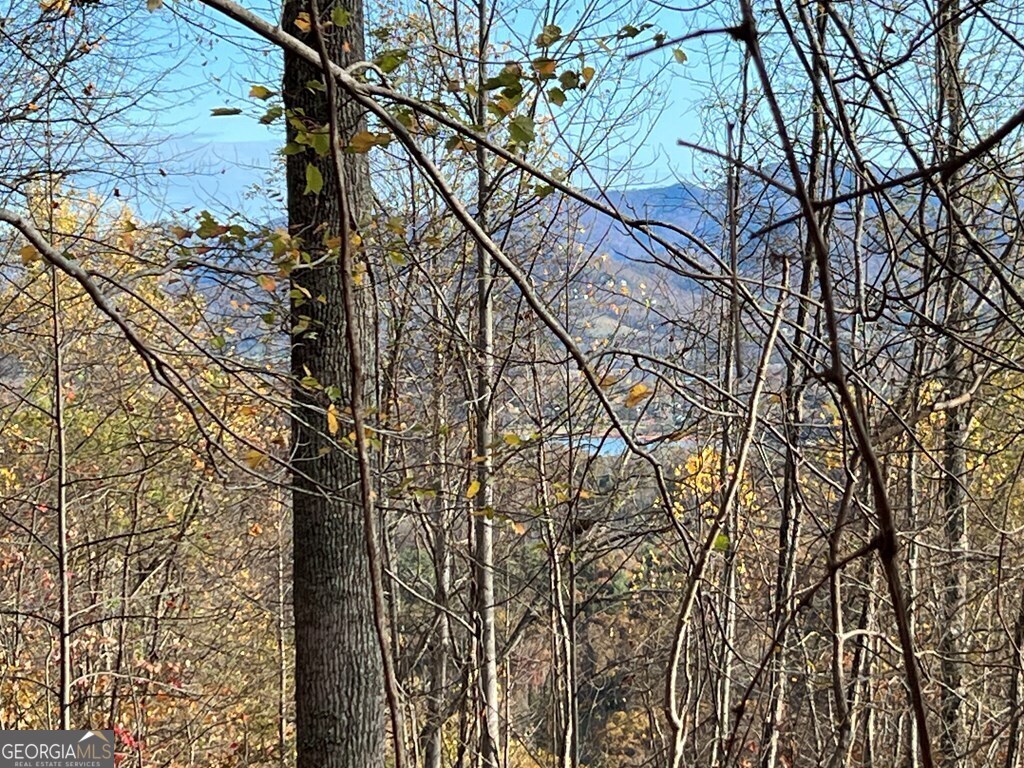Tract 1 Hidden Summit Hiawassee GA 30546