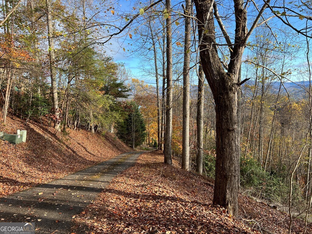 Tract 1 Hidden Summit Hiawassee GA 30546