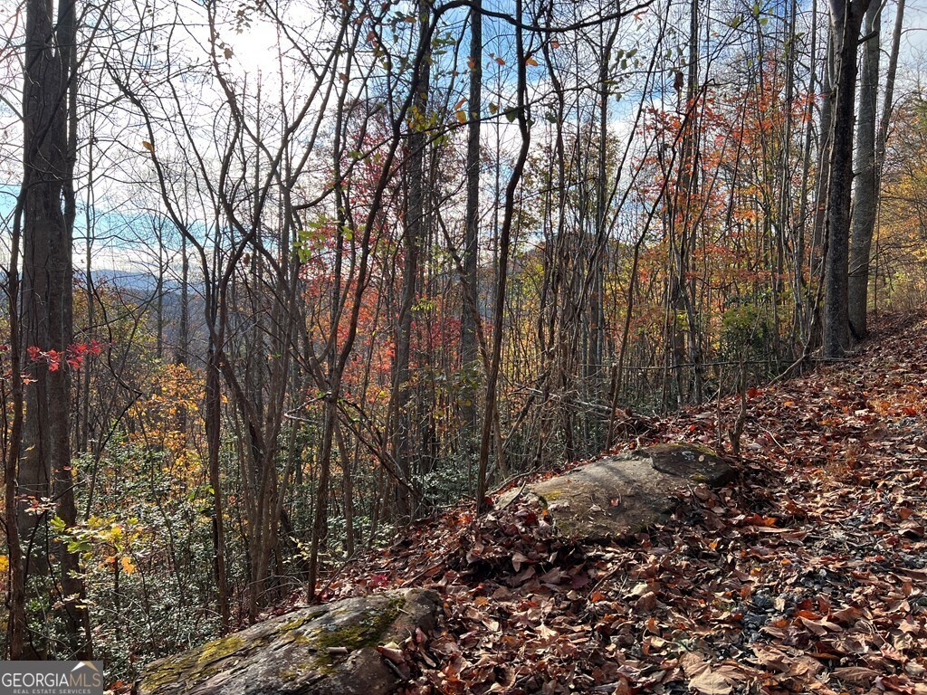 Tract 1 Hidden Summit Hiawassee GA 30546