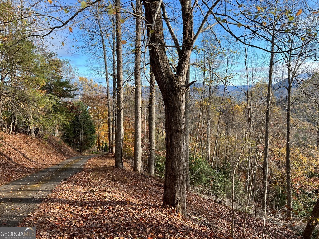 Tract 1 Hidden Summit Hiawassee GA 30546
