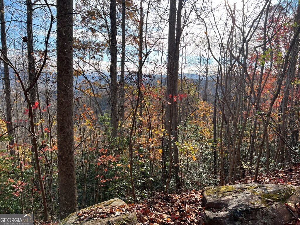 Tract 1 Hidden Summit Hiawassee GA 30546