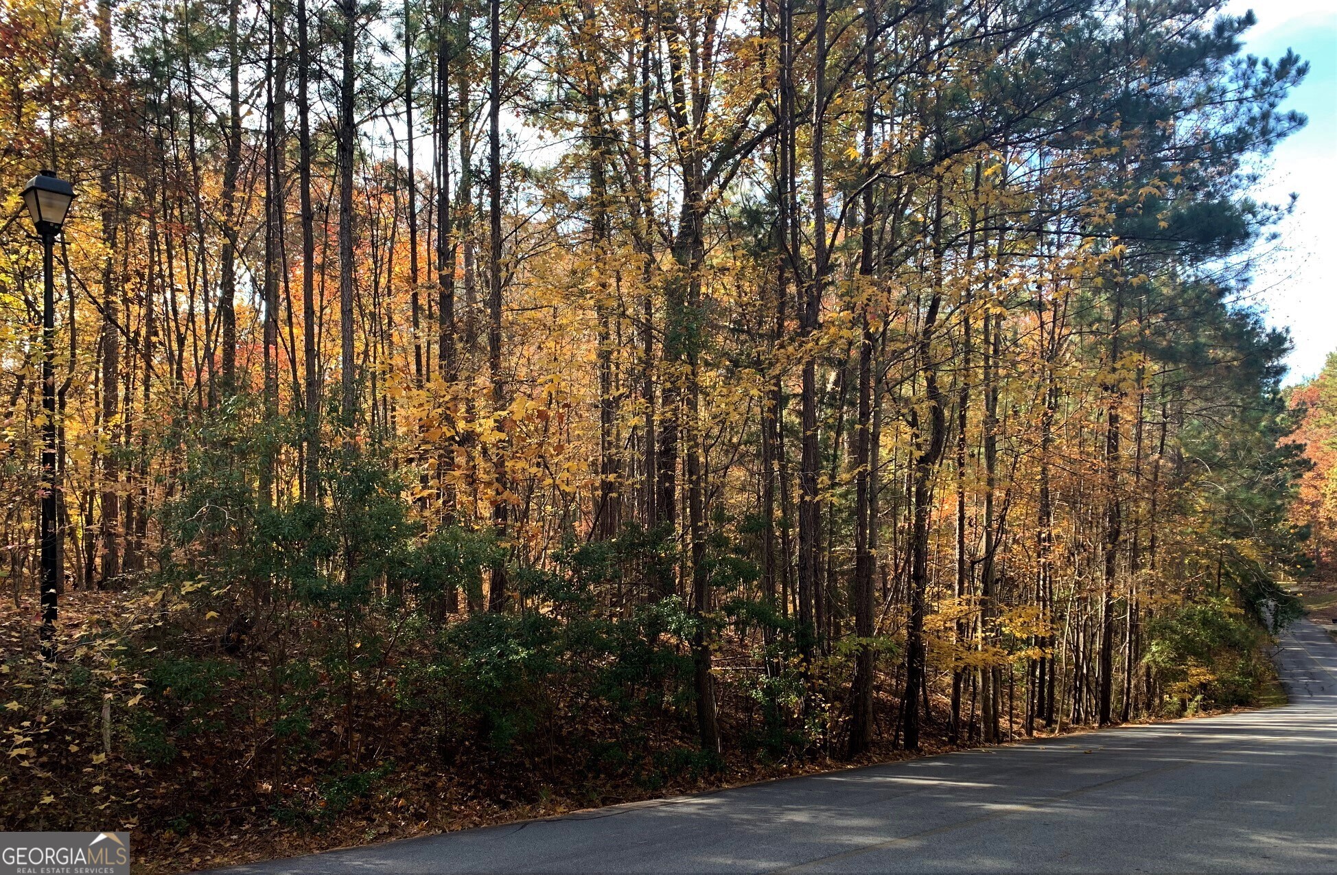 1520 Snug Harbor Drive Greensboro GA 30642