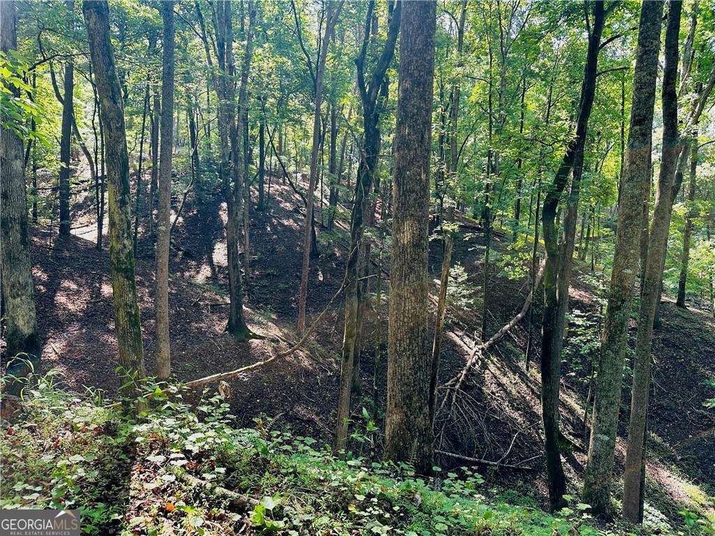 7.123 Acres Halls Mill Road Dahlonega GA 30533